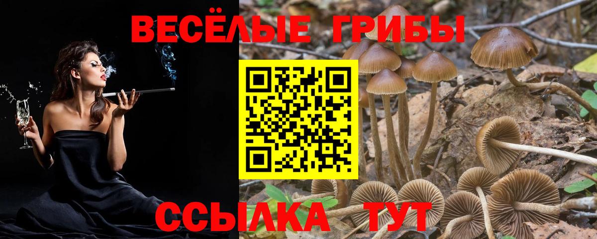 Галлюциногенные грибы мухоморы  Галлюциногенные грибы прущие грибы  Егорьевск  наркотики  Вход с VPN 